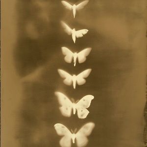 Meet your Posher, Ava